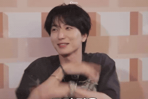 Super Junior Sj GIF