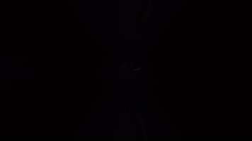 South Carolina Sec GIF by Gamecock Student Tickets