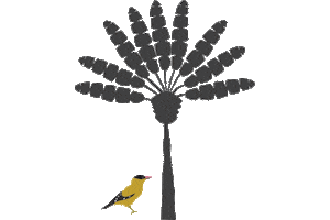 Palm Tree Bird Sticker by Binary Style