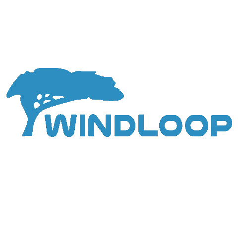 Kite Kitesurf Sticker by Windloop