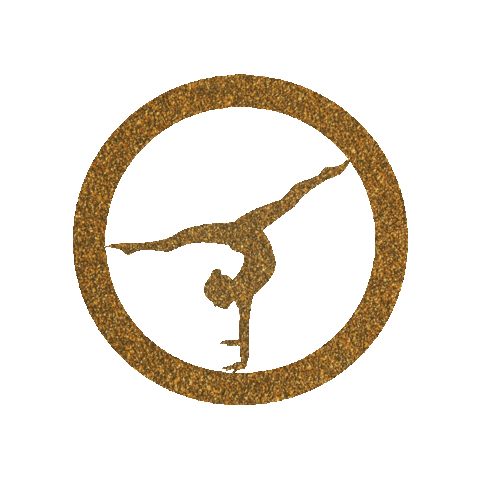 El Saltogym Sticker