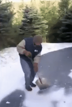 source.gif
