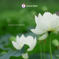 Green-nature GIFs - Get the best GIF on GIPHY