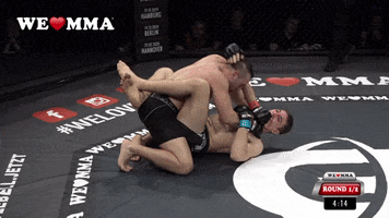 Submission Bjj GIF by We love MMA