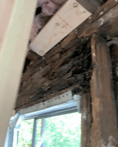 Tailored Real Estate Group GIF