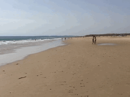 Summer Beach GIF