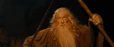 GIF by Giphy QA