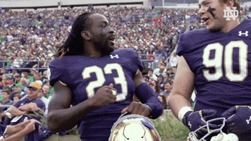 Dance Party Ndfb GIF by Notre Dame Fighting Irish