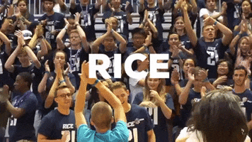 RiceAdmission owls rice university go owls rice owls GIF