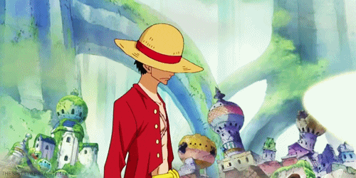 Straw Hat Pirates Gifs Get The Best Gif On Giphy