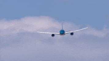 Airplane Aircraft GIF by Safran