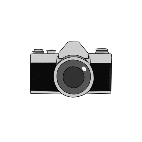 Camera Sticker