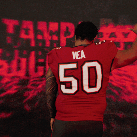 GIF by Tampa Bay Buccaneers