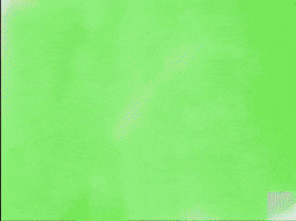 GIF by LincolnMellowMushroom