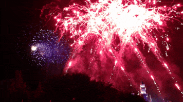 fourth of july fireworks GIF by Disney