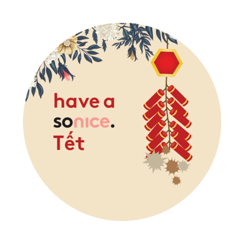 Sonicevietnam Sticker by sonice