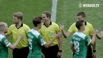 referee schiris GIF by SV Werder Bremen