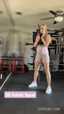 Dumbbell Goblet Squat Prenatal Pregnancy GIF