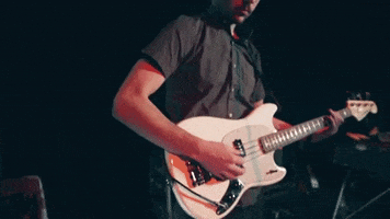 polyvinylrecords guitar band bass live band GIF