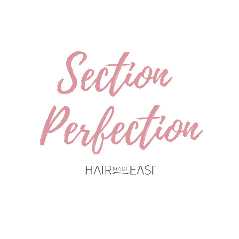 Perfection Section Sticker by Hair Made Easi