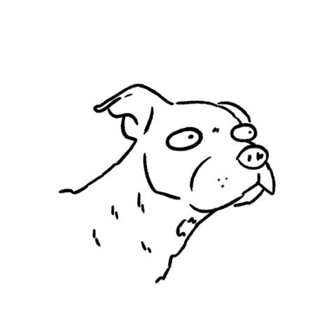 Dog Staring GIF by butpoorlydrawn
