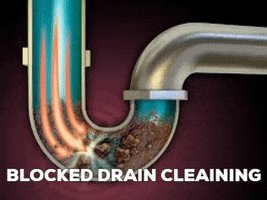 troywakelin blocked drain blocked drain cleaning GIF