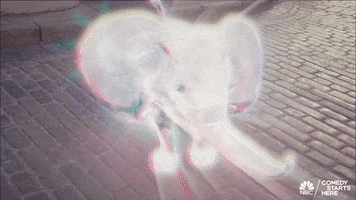 Nbc Elephant GIF by The Good Place