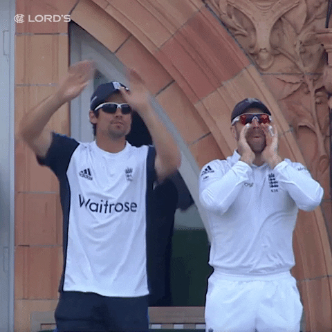 London Help GIF by Lord's Cricket Ground