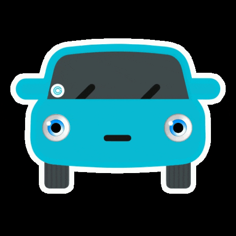 Frustration Disapproval GIF by GetCar