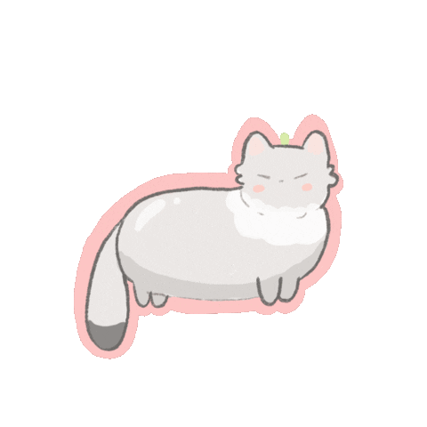 Cat Sticker