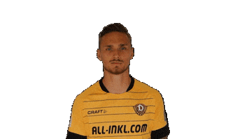 Bundesliga Swipe Sticker by SG Dynamo Dresden