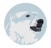Polar Sticker