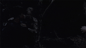 Zombie Stabbing GIF by The Walking Dead