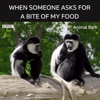Hungry Food GIF by BBC