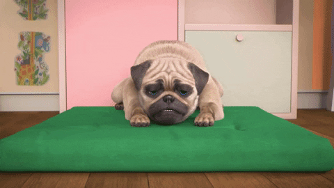 Le Plus Populaire Gif Anime Chien Malade Abdofolio