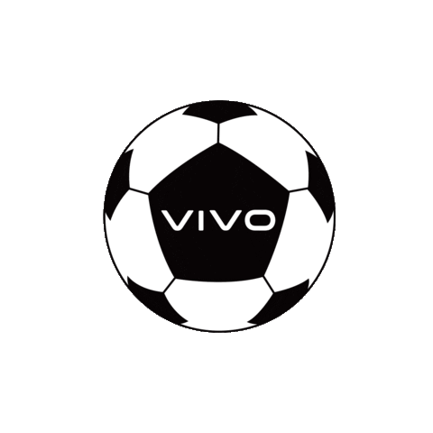 vivo_global Sticker