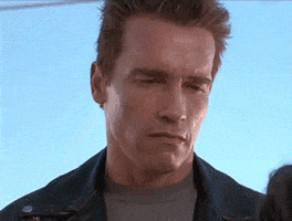 Arnold Schwarzenegger Smile GIF