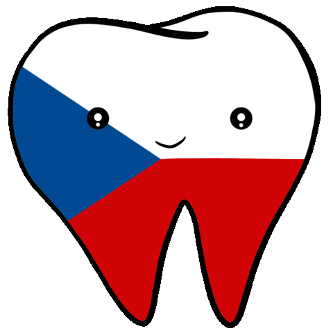 Czech Republic Smile Sticker