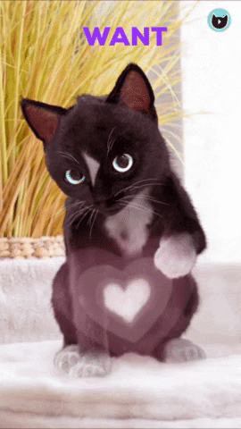 Valentine GIF