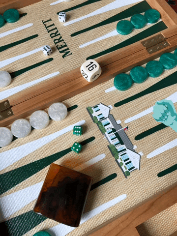 ninefairbackgammon backgammon GIF