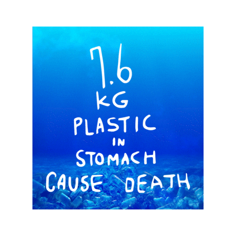 Seoul Goodbye Sticker by official_seoul