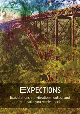 Oraclecards GIF