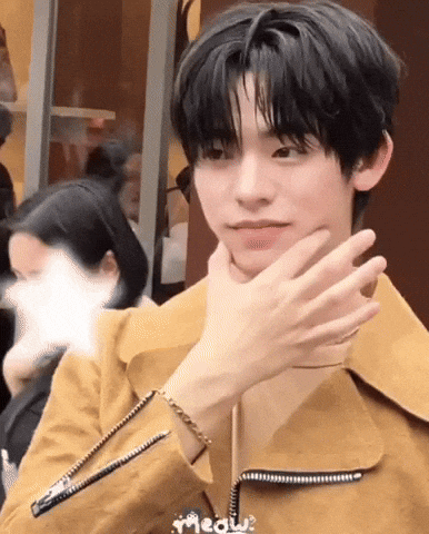 Pip GIF