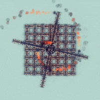 Sahara GIFs - Find & Share on GIPHY