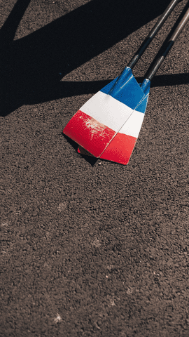 FFAviron GIF