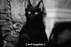 TV gif. Salem, the cat from Sabrina the Teenage Witch, cackles evilly throwing its head back in glee. Text, "[evil laughter]."