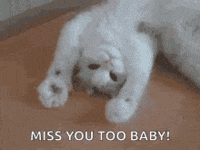 In Which I Show I Invest Way Too Ma Gifs Get The Best Gif On Giphy In Which I Show I Invest Way Too Ma Gifs Get The Best Gif On Giphy