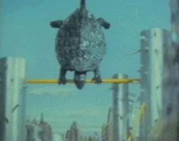 turtle GIF