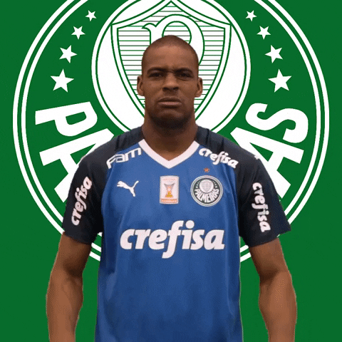 Palmeiras soccer futebol gato scratch GIF