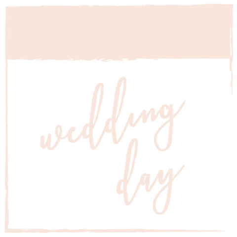 Pohyblivá animace s blikajícím hnědým nápisem "Wedding day". 